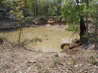 DSCN9717.JPG