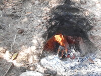 DSCN9723.JPG