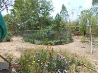 DSCN9712.JPG