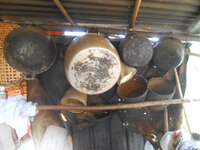 DSCN9732.JPG
