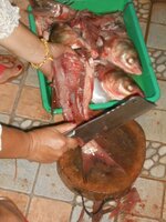 DSCN9790~3.JPG