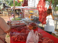 DSCN9816.JPG