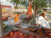 DSCN9815.JPG