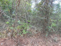 DSCN9992.JPG