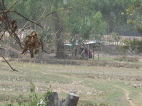 DSCN9999.JPG DSCN9999.JPG