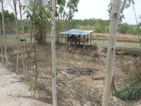 DSCN0014.JPG