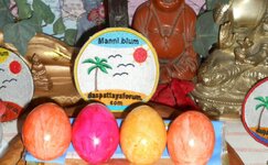 IMG_20200412_130905.jpg