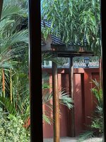 IMG_6336.jpeg