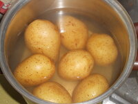 DSCN1558.JPG