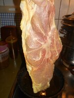 IMG_20190910_075144.jpg