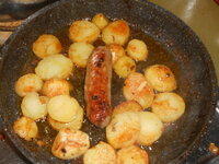 DSCN1851.JPG