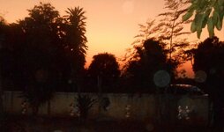 IMG_20200919_100520.jpg