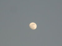 DSCN9383.JPG