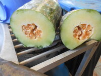 DSCN0195.JPG