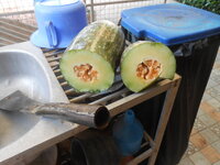 DSCN0194.JPG