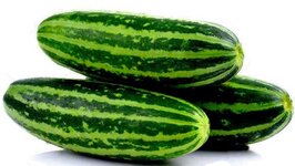 sweet-thai-musk-melon-seeds.jpg