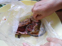 DSCN0185.JPG