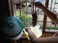 DSCN0187.JPG