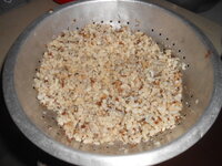 DSCN0231.JPG