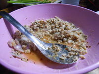 DSCN0237.JPG