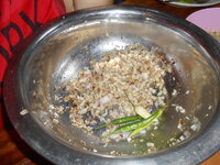 DSCN0236.JPG