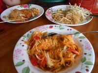 DSCN0227.JPG