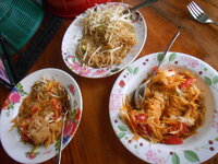 DSCN0226.JPG
