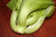 000Senfkohl.jpg