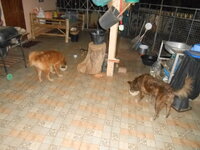 DSCN0176.JPG