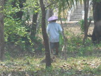 DSCN0259.JPG