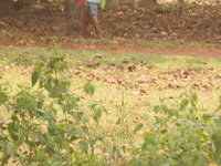 DSCN0257.JPG