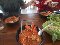 DSCN0208.JPG
