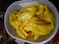 DSCN0181.JPG