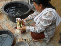 DSCN0242.JPG