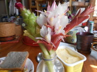 DSCN0250.JPG