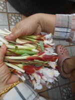DSCN0241.JPG