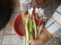DSCN0240.JPG