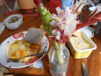DSCN0249.JPG