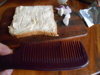 DSCN0253.JPG