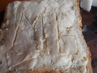 DSCN0251.JPG