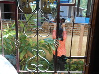 DSCN0139.JPG