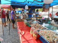 DSCN9756.JPG