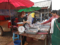 DSCN9767.JPG