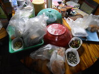 DSCN0168.JPG