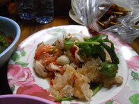 DSCN0171.JPG