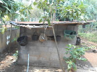DSCN9979.JPG