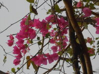 DSCN0046.JPG
