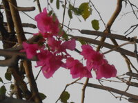 DSCN0045.JPG