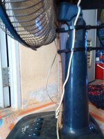 IMG_20240405_135259_582.jpg