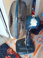 IMG_20240405_135203_649.jpg